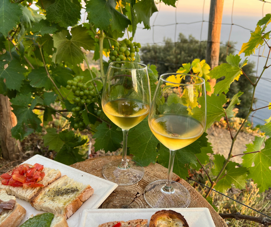 Guida all’abbinamento Roero Arneis e cibo