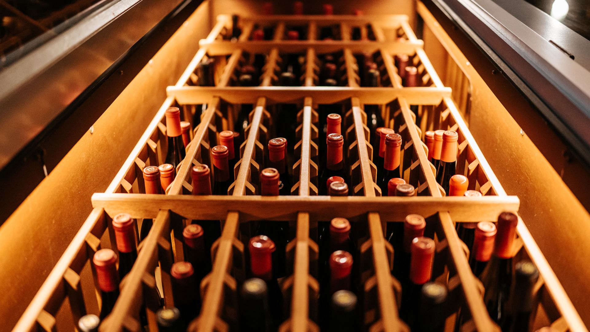 Notizie sul vino: record negativo per la produzione mondiale di vino nel 2024, la più bassa dal 1961