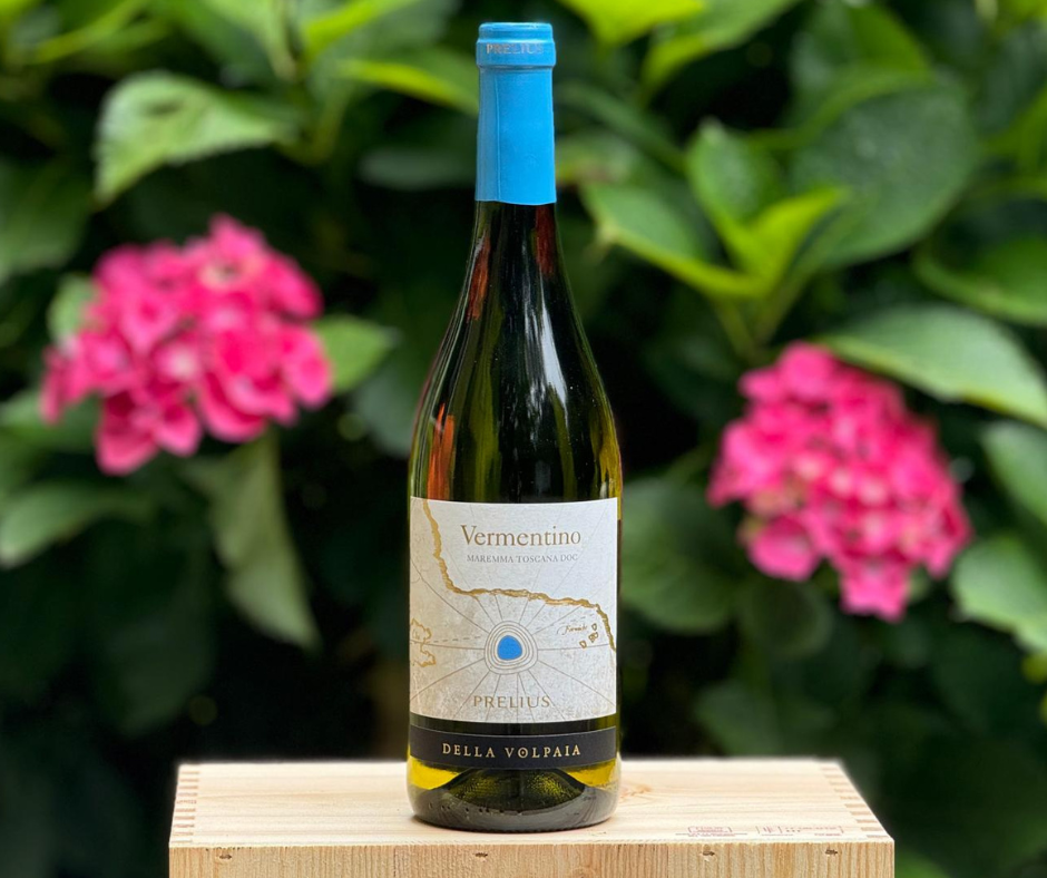 Scopriamo il Vermentino Prelius Volpaia