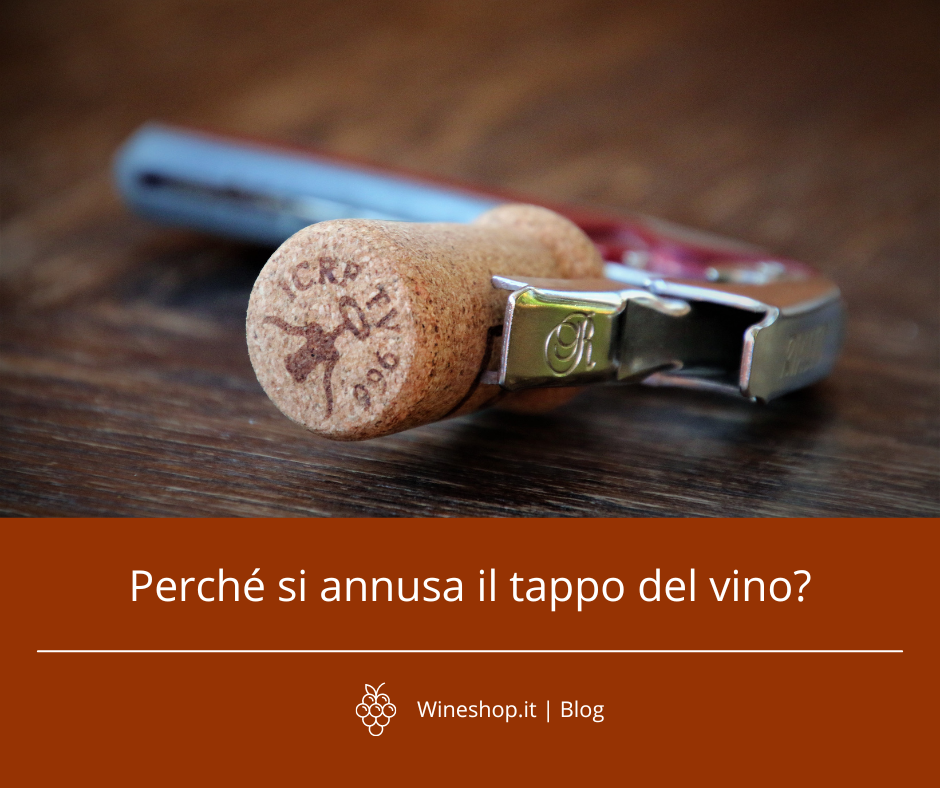 Perché si annusa il tappo della bottiglia di vino?