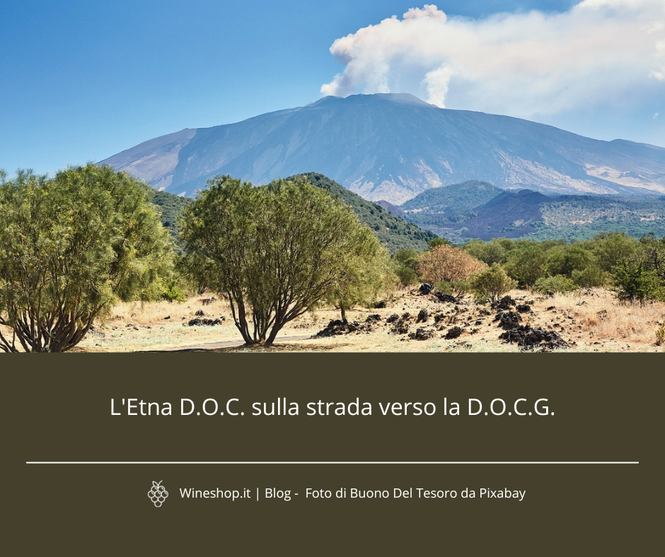 L'Etna D.O.C. sulla strada verso la D.O.C.G.