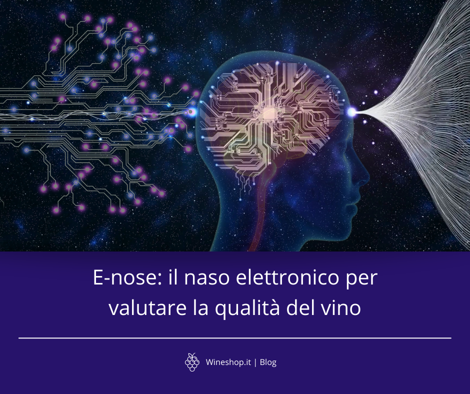 E-nose: il naso elettronico per valutare la qualità del vino