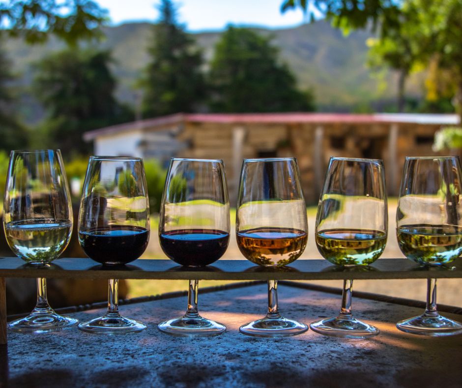 Notizie sul vino: al via la campagna nazionale del MASAF per la promozione del vino italiano