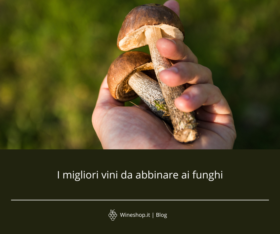 I migliori vini da abbinare ai funghi