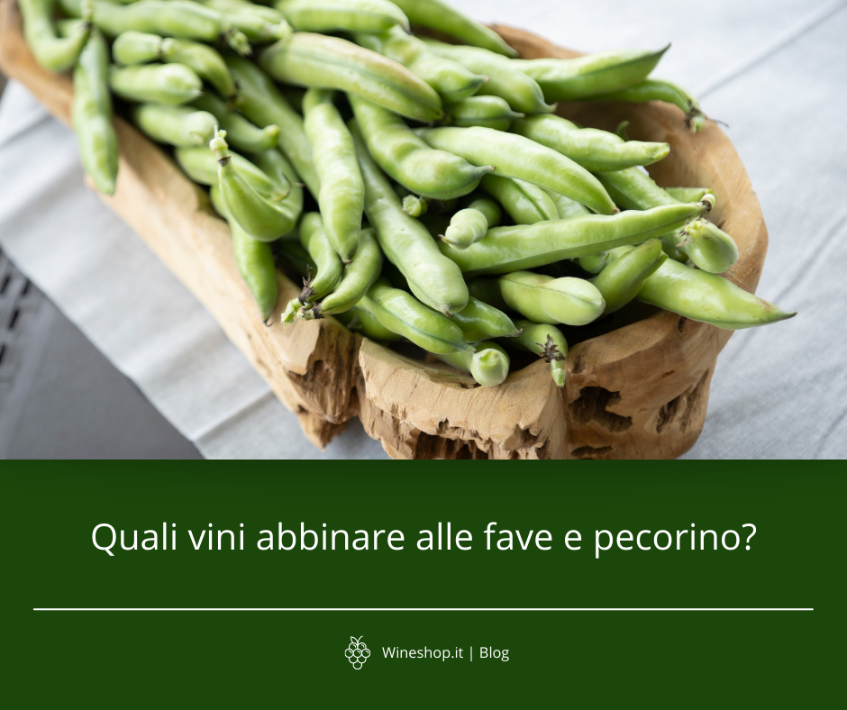 Quali vini abbinare alle fave e pecorino?