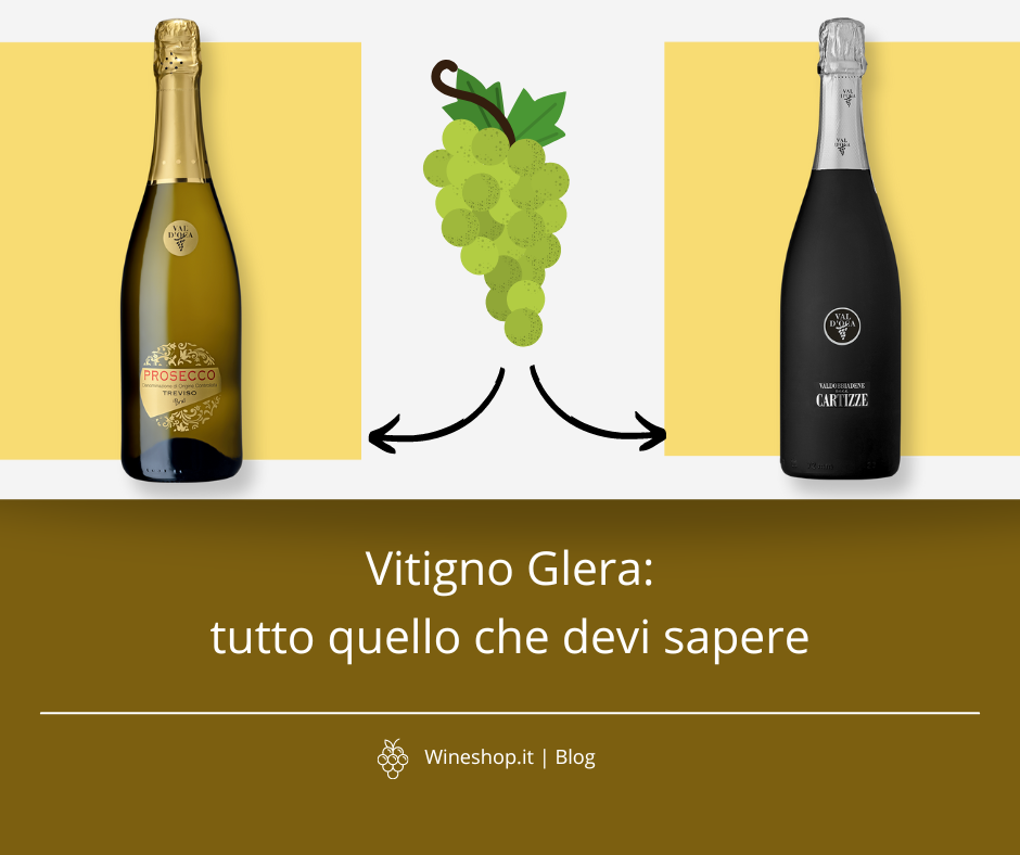 Vitigno Glera: tutto quello che devi sapere