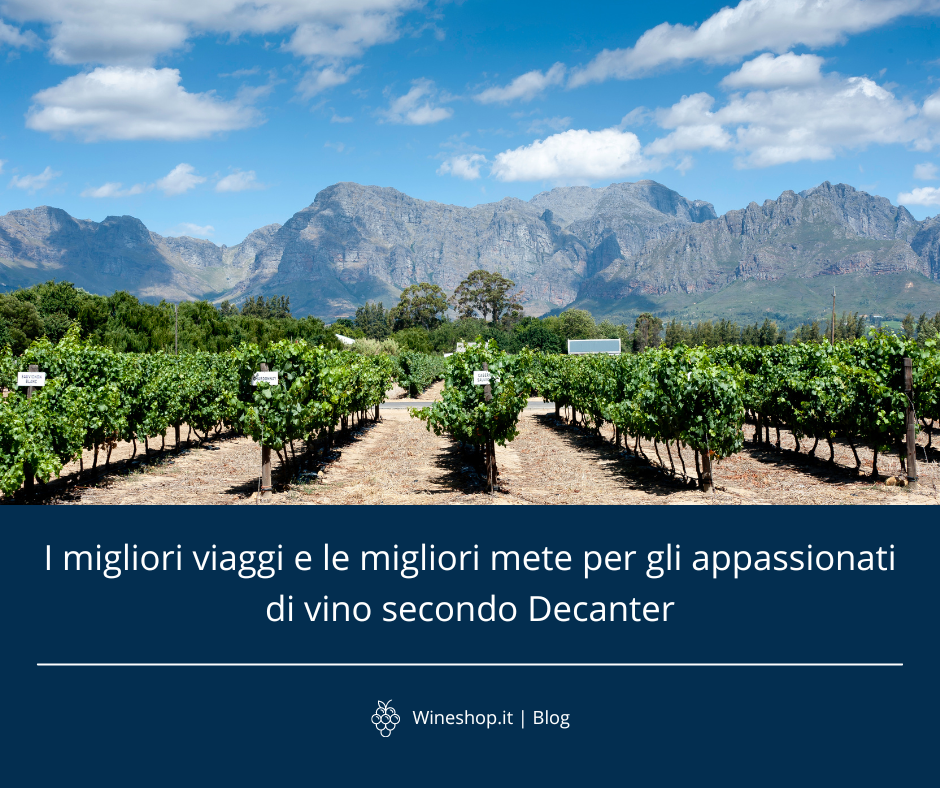 I migliori viaggi e le migliori mete per gli appassionati di vino secondo Decanter