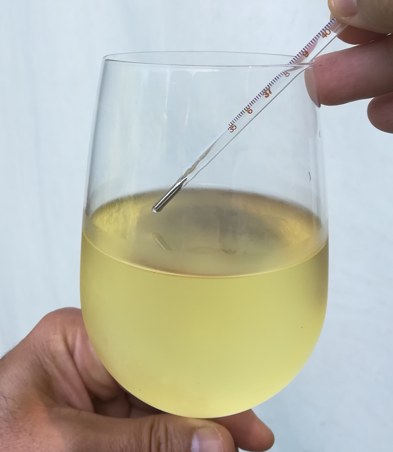 A che temperatura servire il vino