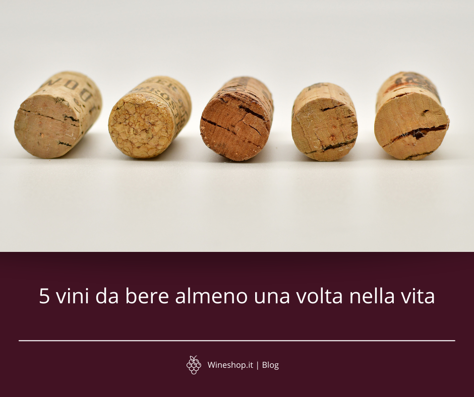 5 vini da bere almeno una volta nella vita
