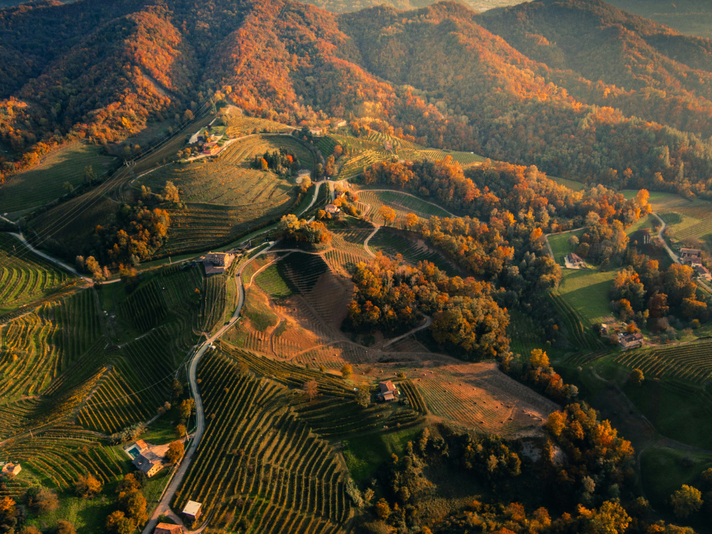Che cosa sono le Rive del Prosecco DOCG