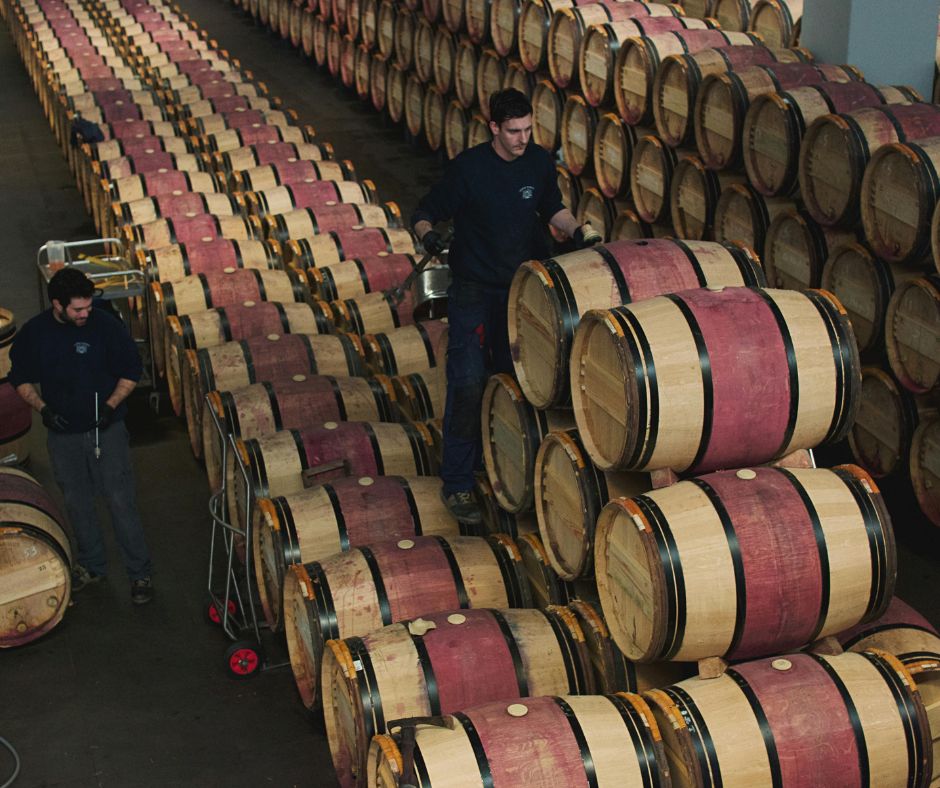 Qual è la differenza tra fermentazione alcolica e fermentazione malolattica?