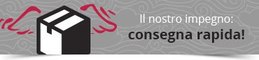 Consegna Rapida