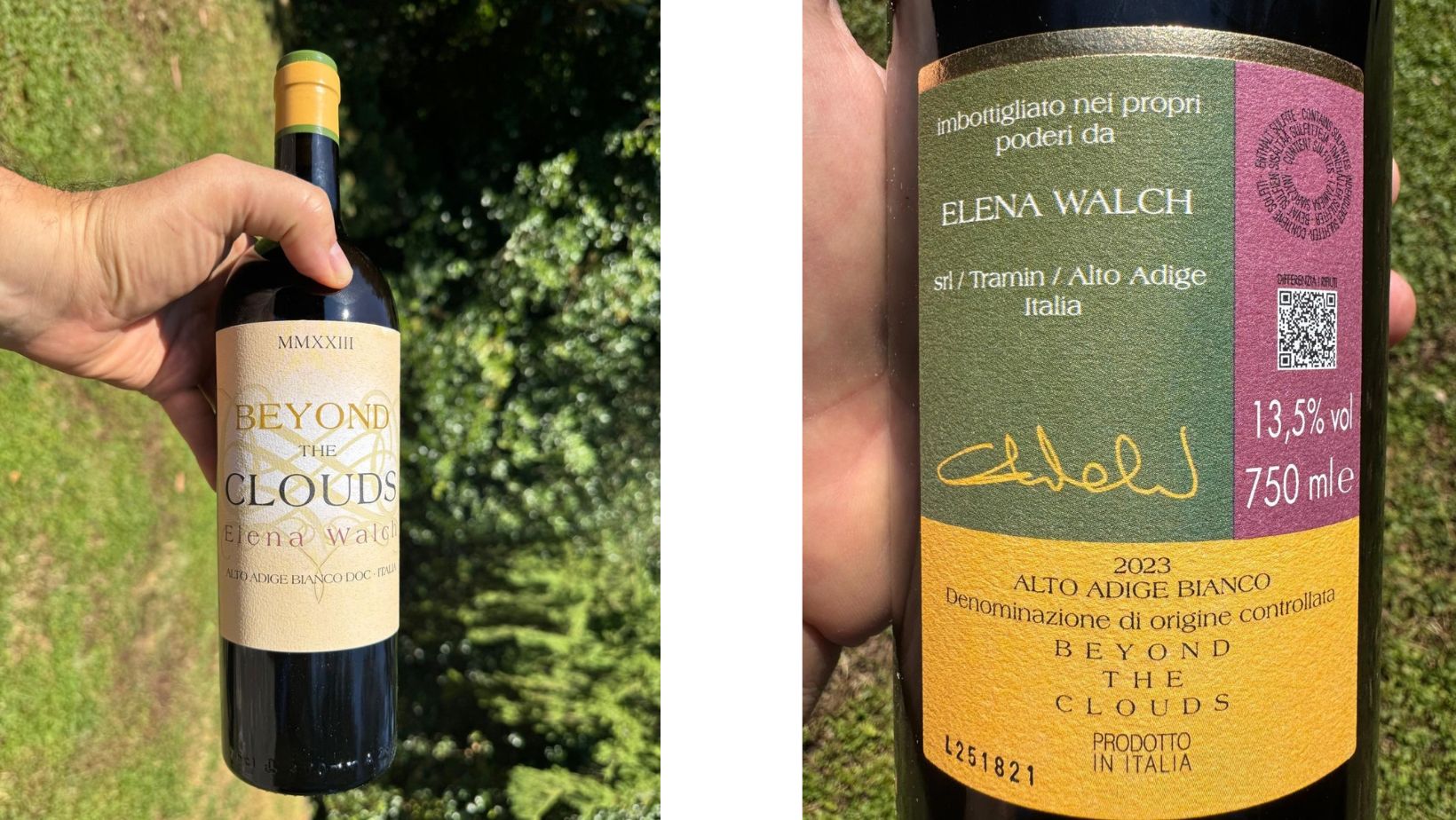 Bibenda 2027: svelati i 10 migliori vini d’Italia