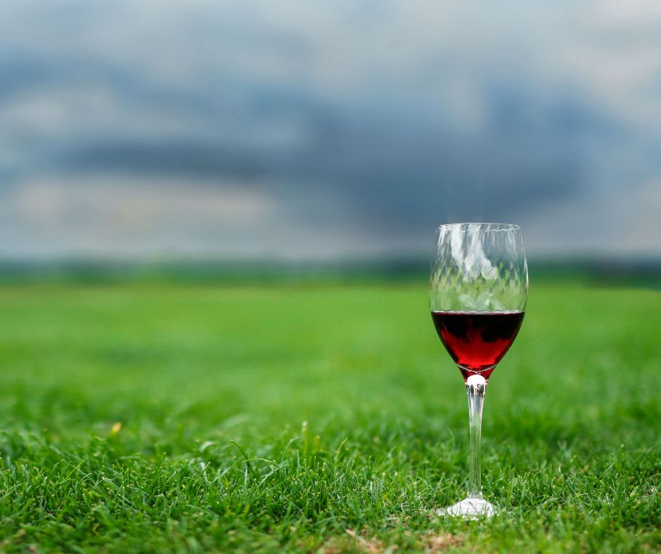 Artigiani del vino: cosa sono e perché stanno conquistando il mercato