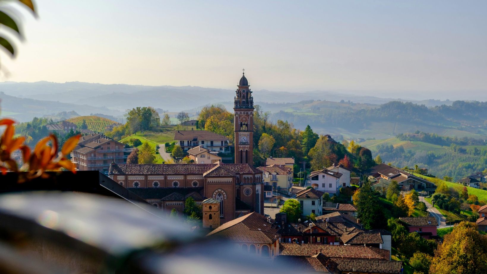 É l’ora del Barolo: il Ministro Lollobrigida inaugura la vendemmia 2026