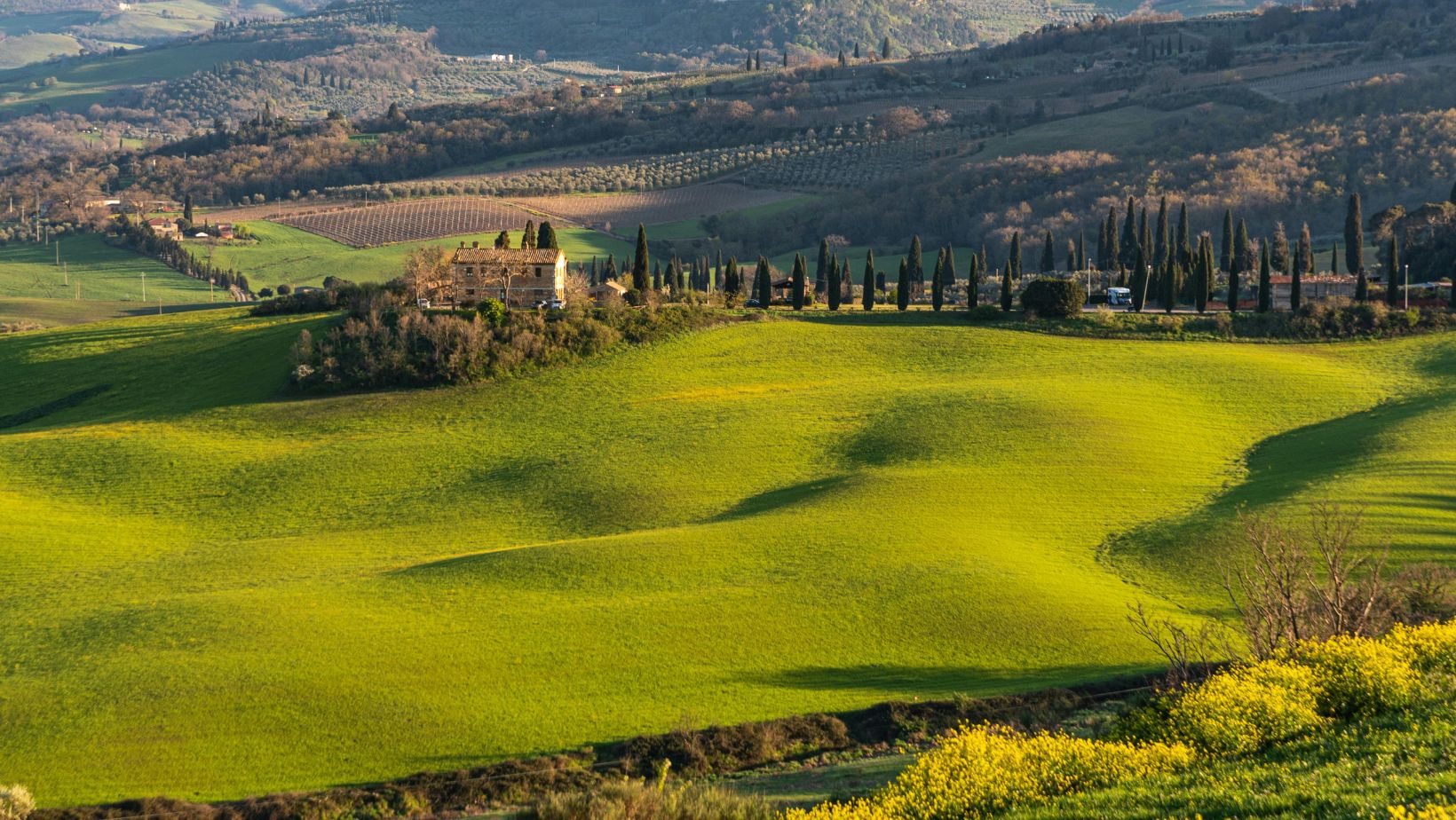 DOC Maremma Toscana: no al taglio delle rese, sì a interventi strutturali a lungo termine