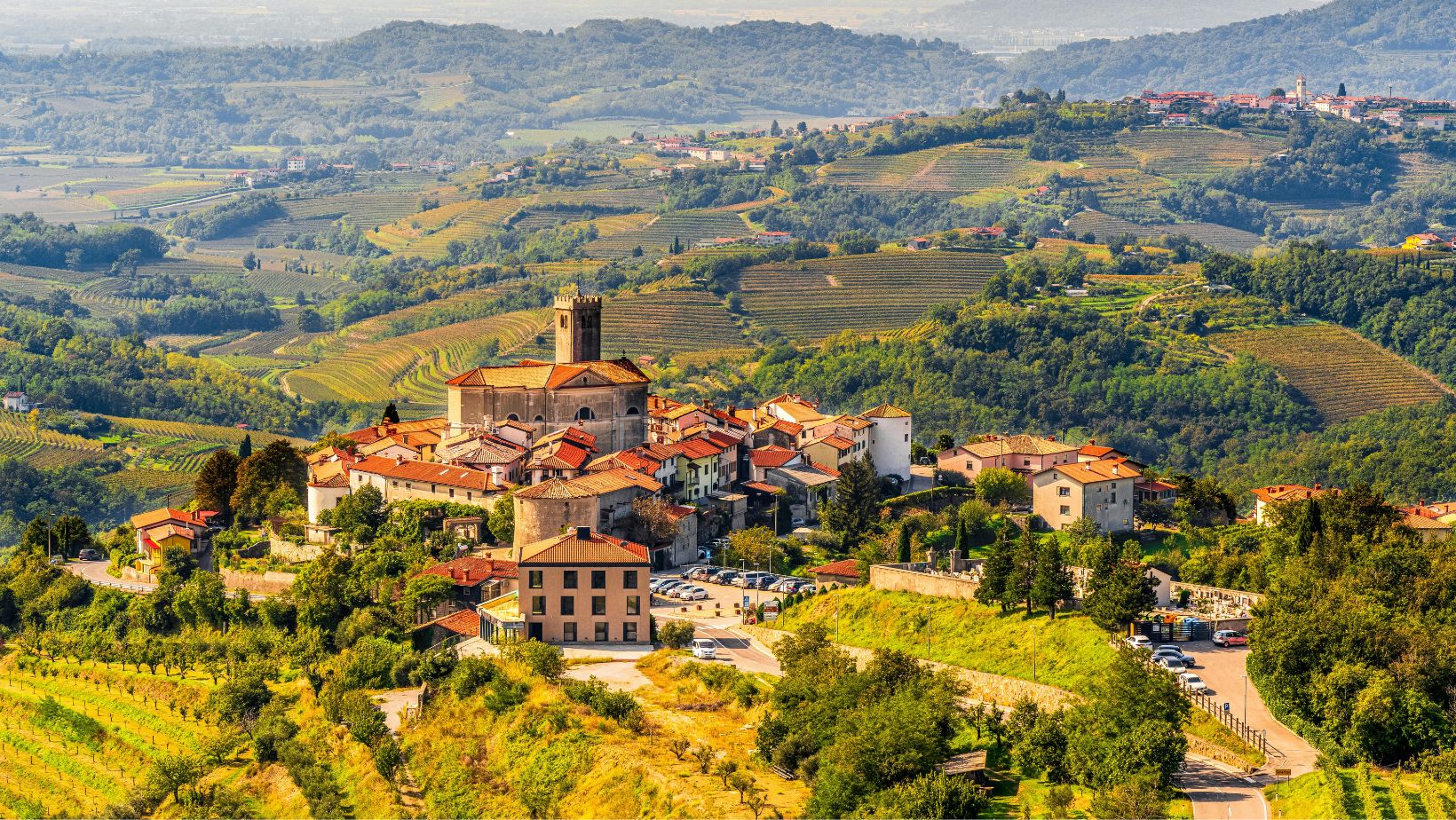 Notizie sul vino: Nasce la Nazionale dei vini italiani, ecco la formazione scelta da Coldiretti per promuovere il Made in Italy negli Usa