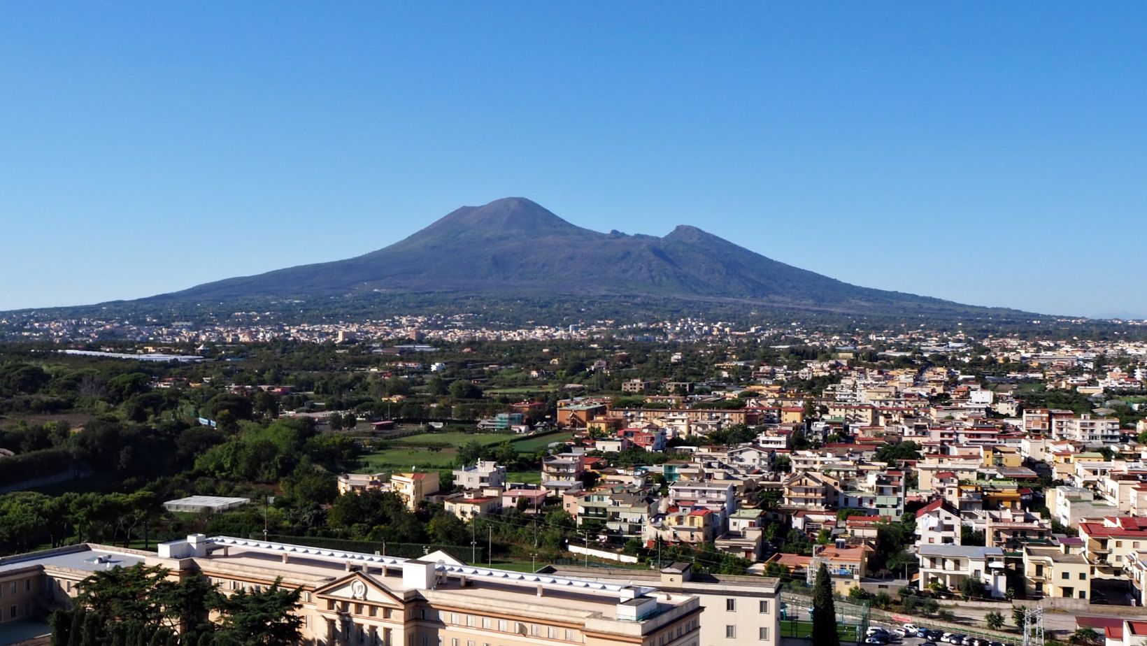 Pompei torna a vendemmiare: entro il 2029 le prime bottiglie