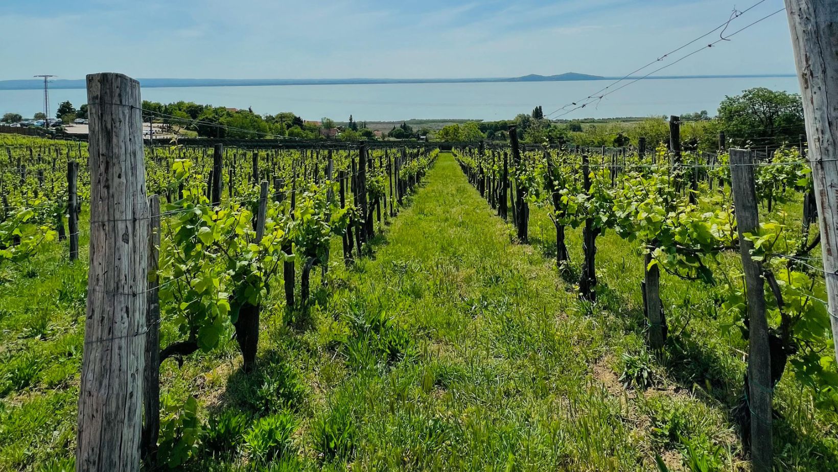 In Danimarca sta per nascere la DOP più a Nord d’Europa