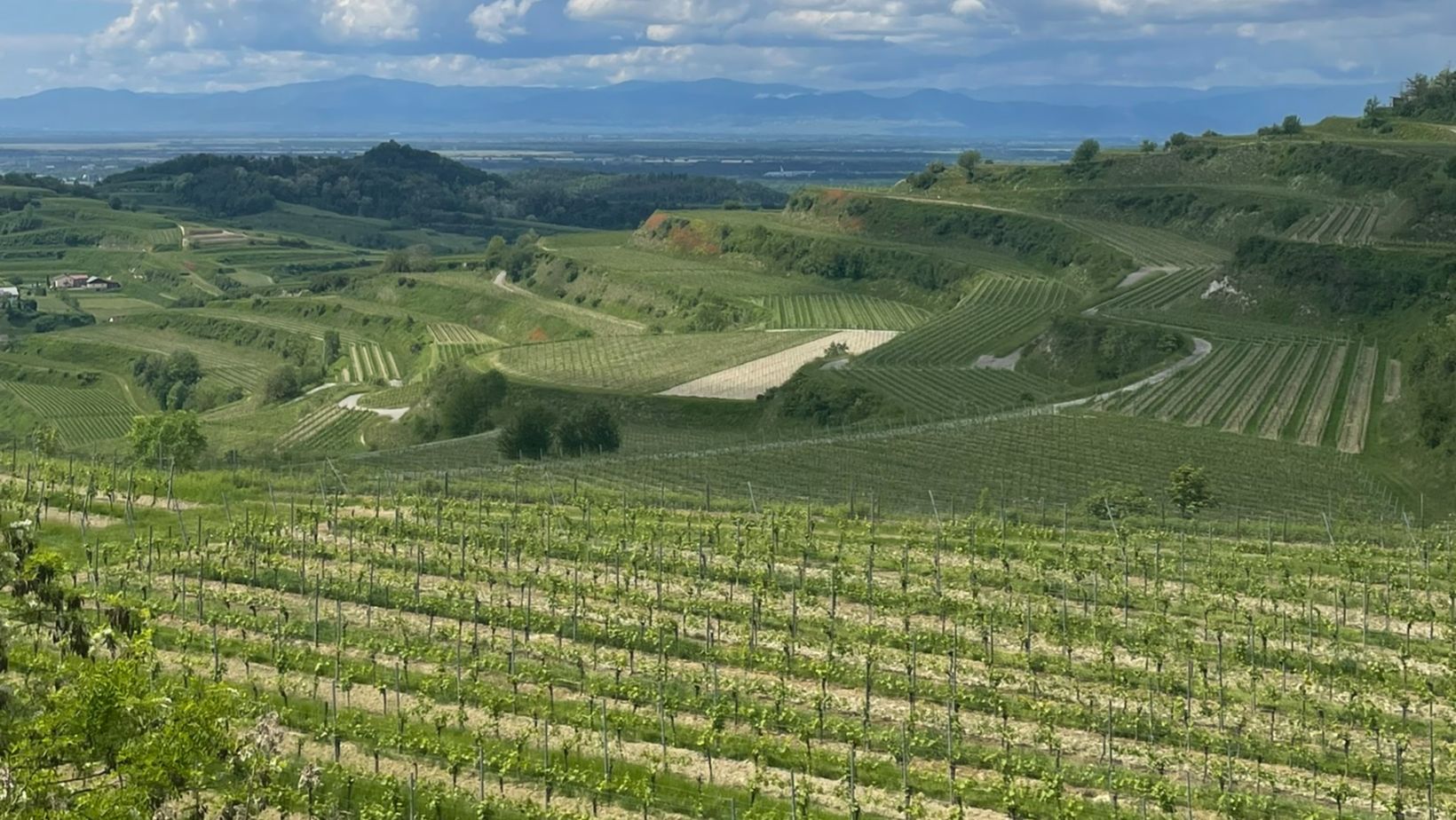 Che cosa sono le denominazioni interregionali?