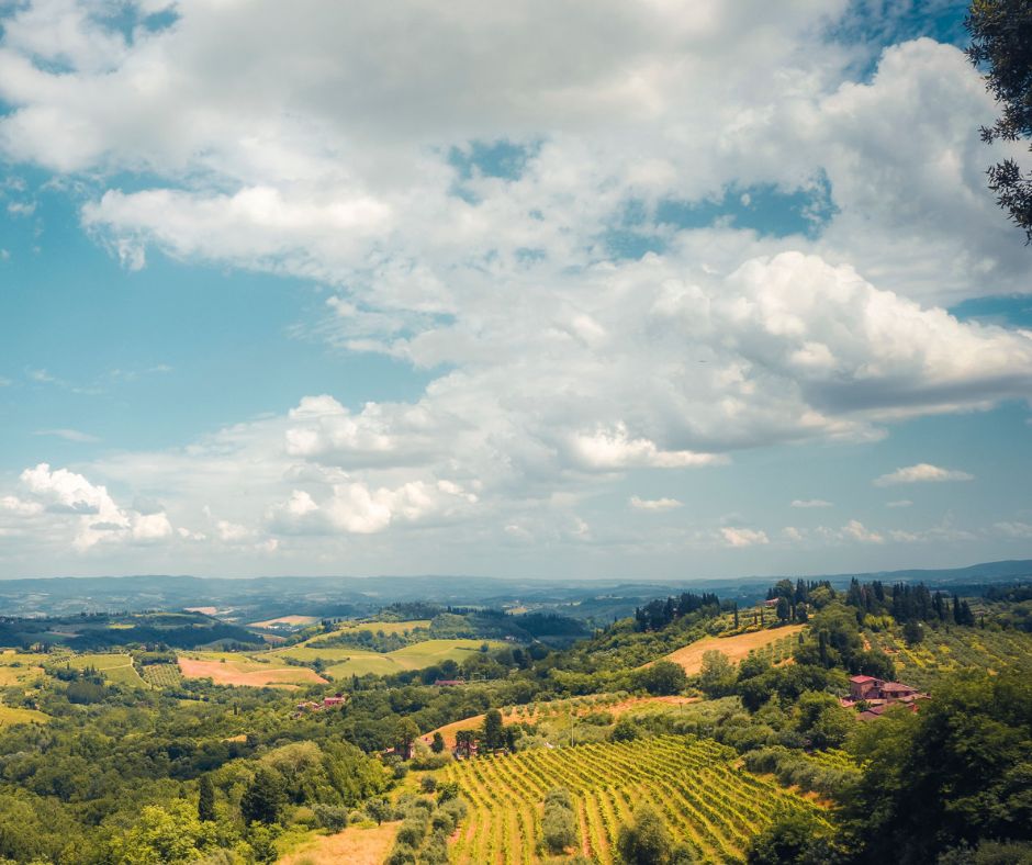 Che cosa sono le denominazioni interregionali?