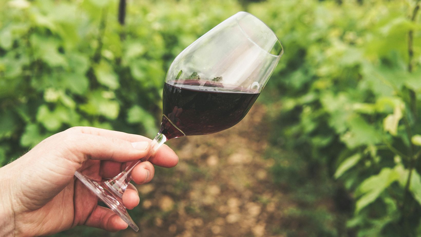 Enoteca online con vini di piccoli produttori: perché sceglierla