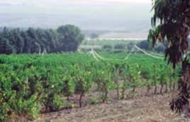 degustazioni_09
