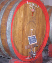 Vigna Vecchia