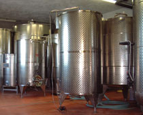 Vigna Vecchia